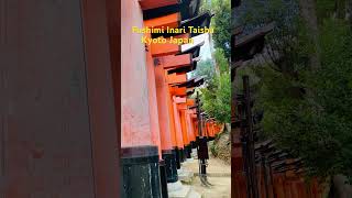 Visiting Shinto Shrine in Kyoto Japan [upl. by Somerset]