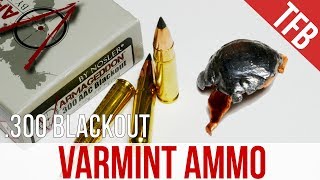 Would You Trust This Varmint Ammo For Defense Nosler 300 AAC 110gr Varmaggedon Gel Test [upl. by Maggs327]