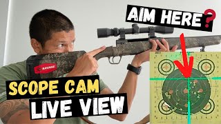 How To Bore Sight A Rifle At Home amp Save Ammo At The Range  10 Yard Bore Sight For 100 Yards [upl. by Thoer]