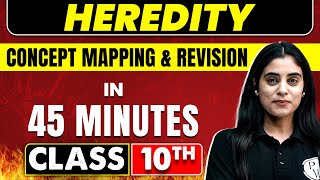 HEREDITY in 45 Minutes  Science Chapter 9 Class 10th CBSE Borad [upl. by Pickens]