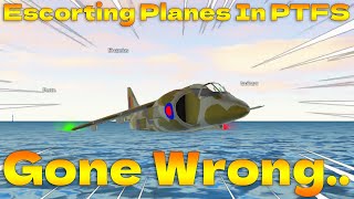 I Escorted Random Planes In PTFS Pt2 Roblox [upl. by Triplett]