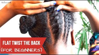 How to Flat Twist the Back  Braids For Beginners  Nakawunde [upl. by Nica498]