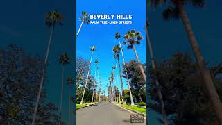 Beverly Hills Palm treelined streets [upl. by Ednil]