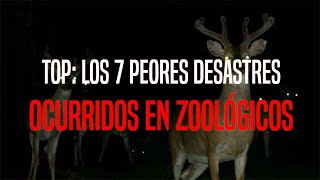 Top Los 7 Peores Desastres De La Historia Ocurridos En Zoológicos [upl. by Stockwell]