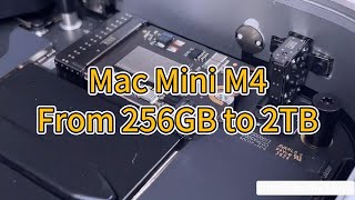 brand new Mac Mini M4 upgrade from 256GB to 2TB Almost failed [upl. by Alejandra]