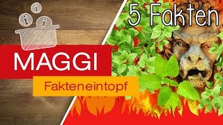 Was hat die Unterwelt mit der Minze zu tun  MAGGI Fakteneintopf [upl. by Tnarb]