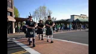 Arroyo Grande California Finnegans Wake Parade 2014 [upl. by Aivon]