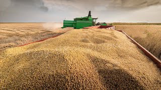 How are 135 tons of soybeans produced by American farmers  American Farming [upl. by Pavia]