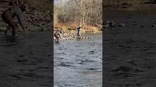 Mike’s first steelhead catchandrelease flyfishing steelheadfishing salmonriver [upl. by Balsam]