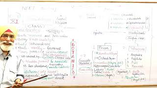 CH  4 ANIMAL KINGDOM  PHYLUM  CHORDATA  CLASS  OSTEICHTHYES  CLASS  XI  NEET BIOLOGY NCERT [upl. by Anerac]