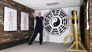 12 Movements for Health Qigong Movement 1  Beginning of Heavens Creation [upl. by Elyac564]