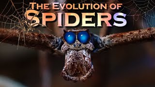 EVOLUTION of SPIDERS [upl. by Eanal346]