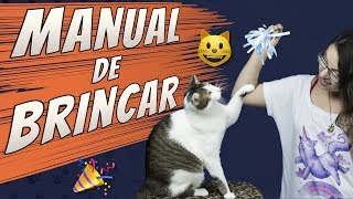 Manual para Brincar com Seu Gato [upl. by Atiloj]