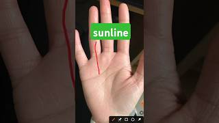 sunline astrology palmistry viralshorts astrovastushastra governmentjobs love [upl. by Eleazar994]