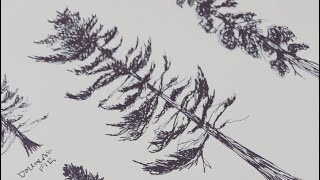 How to draw Trees  part one ‘Pine Trees ‘ [upl. by Desberg]