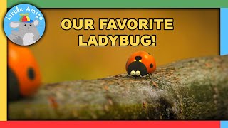 Minuscule  The Many Adventures of the Ladybug [upl. by Enitsenre]