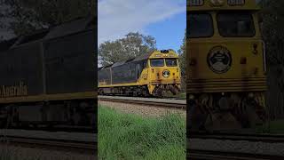 WA Trains trains [upl. by Assiralc]