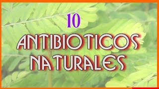 10 Increibles Antibióticos Naturales Que te Ayudaran a Enfrentar a Las Infecciones [upl. by Anak]