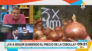 Preocupación Precio de las cebollas en alza Tu Día Canal 13 [upl. by Ahsilra253]