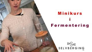 Minikurs i fermentering  hjemmelaget surkål [upl. by Risa]