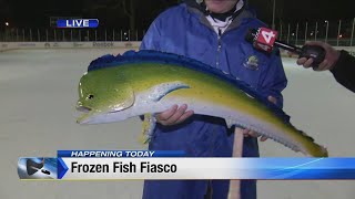 Frozen Fish Fiasco takes over Clark Park [upl. by Amaj631]