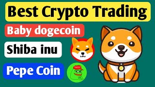 Best Crypto Trading  Baby Dogecoin  Shiba Inu  Pepe Coin [upl. by Lasko]