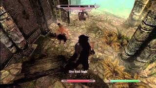 Skyrim Voice of the Emperor on Skinners crew Master Difficulty [upl. by Sedaiuqlem]