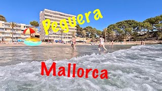 The Best of Peguera Mallorca  The Ultimate Guide [upl. by Auhoj]