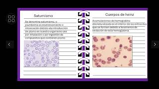 Inclusiones y agrupaciones eritrocitarias [upl. by Yelyr]