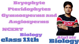 Bryophyte Pteridophytes Gymnosperms and Angiosperms NCERT biology Class 11th By Atul sir [upl. by Wiener]