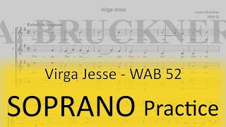 Bruckner WAB 52 Virga Jesse  Soprano practice [upl. by Andonis]