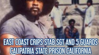 EAST COAST CRIPS RUSH CORRECTIONAL OFFICERS STAB A SGT AND 5 GUARDS CALIPATRIA PRISON IN CALIFORNIA [upl. by Palestine]