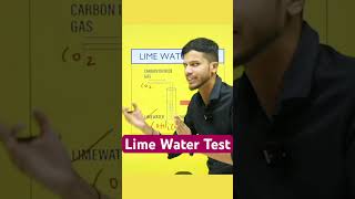 Lime Water Test🔥Carbon dioxide Lime water Test ✅Acid Bases and Salts acidbasesclass10shorts [upl. by Missie]