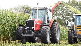 Best of Massey Ferguson 3690 During Corn Silage  Pure Straight Piped Sound  Corn Silage Season [upl. by Euqinaj]