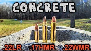 Rimfire vs Concrete Blocks 22LR 17HMR 22WMR 22 MAGNUM [upl. by Muhammad]