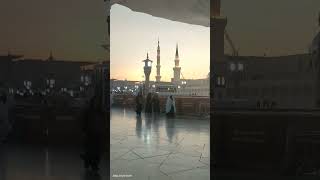 Senja di Madinah madina masjidnabawi umrah youtubeshorts shortvideo shorts vlog umrah [upl. by Annay]