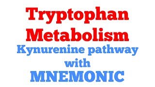 Tryptophan metabolism with Mnemonic  Kynurenine anthranilic acid pathway  Biochemistry [upl. by Enomrej]