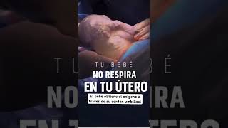 Tu bebé no respira en tu útero ellos reciben el oxígeno por el cordón umbilical desde la placenta❤️ [upl. by Sungam]