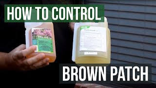 How to Control Brown Patch Fungus with Honor Guard PPZ Fungicide Propiconazole [upl. by Nyrret]