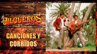 Los Jilgueros Del Pico Real Mix  20 Canciones Viejitas Sus Mejores Exitos [upl. by Aremat]