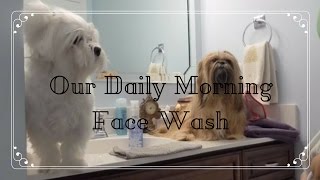 Our Daily Morning Face Wash [upl. by Tfat]