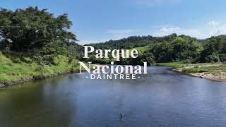 DAINTREE NATIONAL PARK DRONE VIEW 4K [upl. by Ithnan]