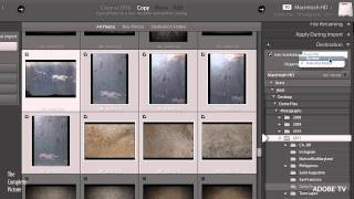 Lightroom 3  Two Ways to Import Photographs [upl. by Atiekal]