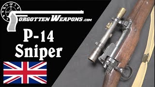 Pattern 14 MKI W T  The Best Sniper Rifle of World War One [upl. by Nailij674]