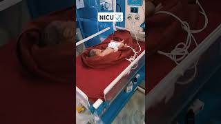 Laganshah memorial nursing college makrana nagour nicu nicubaby [upl. by Gader]