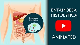 Entamoeba Histolytica in Easy Animated  Microbiology [upl. by Rockwood]