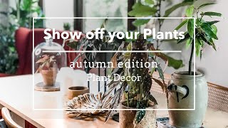 PLANTS amp DECORATION  Autumn Colors amp Begonia Leaves [upl. by Crowell]