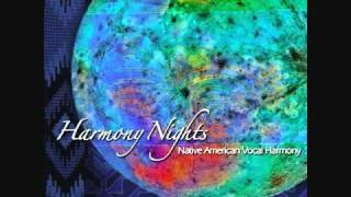 Harmony Nights  Southern Man [upl. by Scevo]