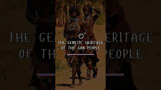 San People  Oldest Genetic Heritage ancientcivilization Africahistory khoikhoi shortsfeed feed [upl. by Odnomor]