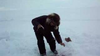 catching fish in nunavut [upl. by Minetta213]